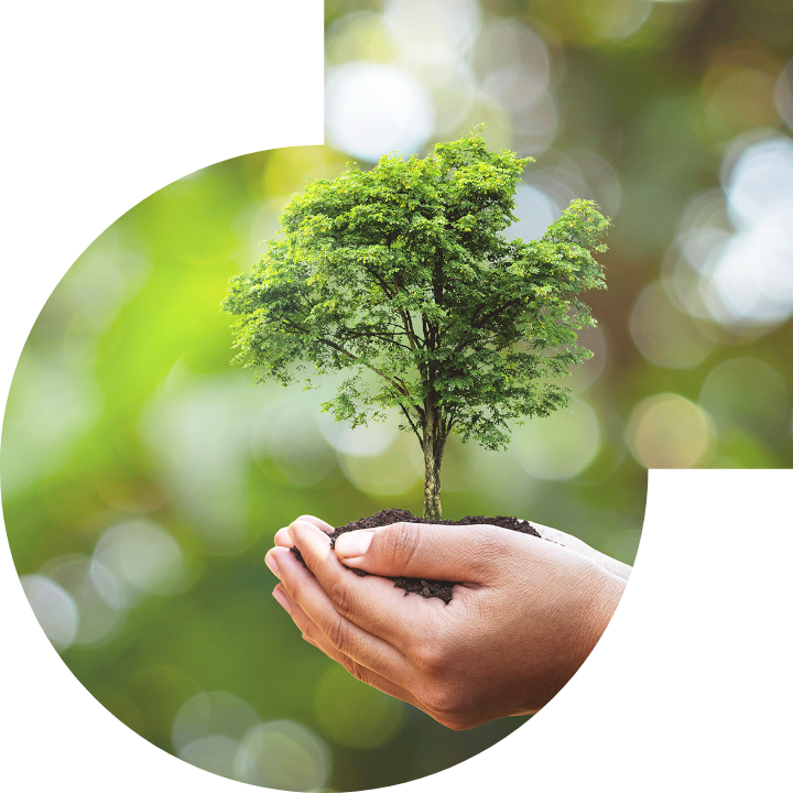 關懷人類、文化、環境與社會