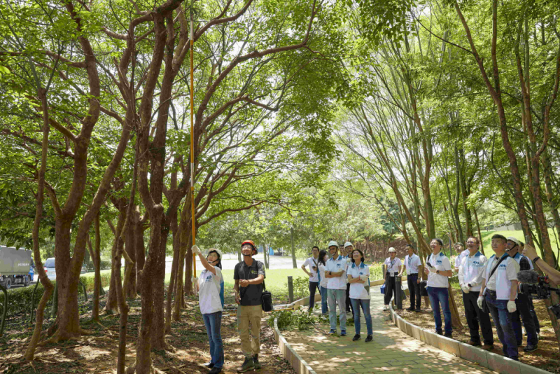 藝師教導大家認識樹木、檢查樹的健康狀況，學習修枝及碎枝覆土